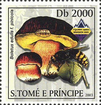 Briefmarke