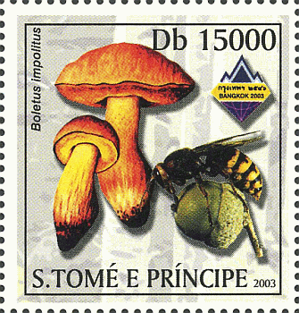 Briefmarke