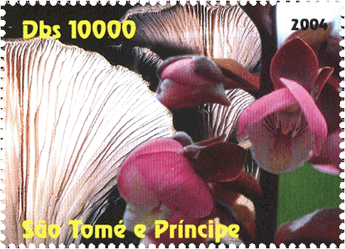 Briefmarke