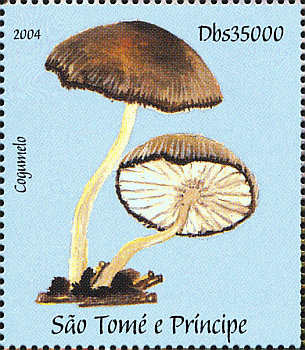Briefmarke