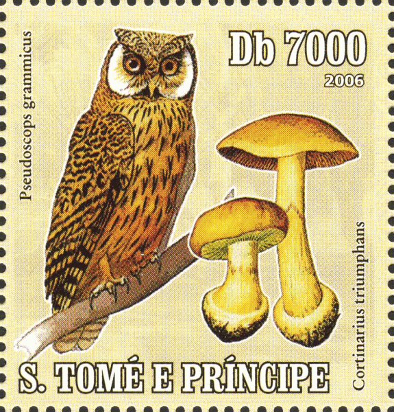 Briefmarke