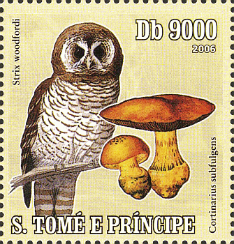 Briefmarke