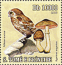 Briefmarke