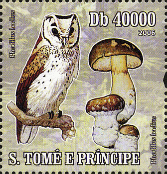 Briefmarke