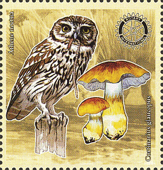 Briefmarke