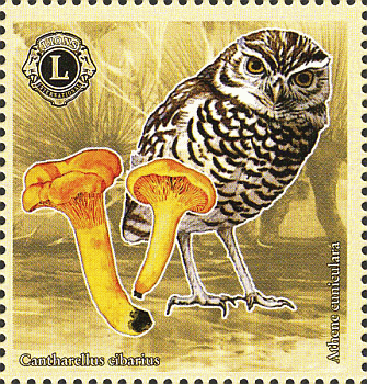 Briefmarke