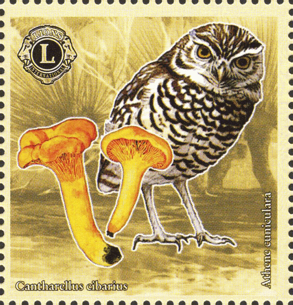 Briefmarke