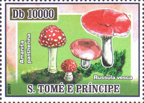 Briefmarke