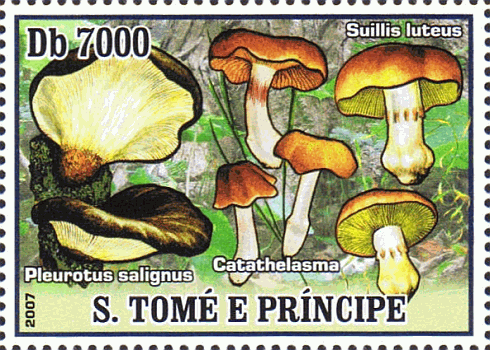 Briefmarke