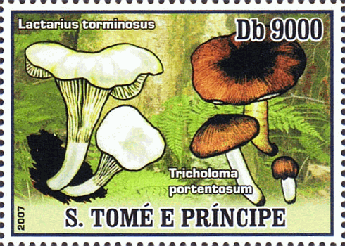 Briefmarke
