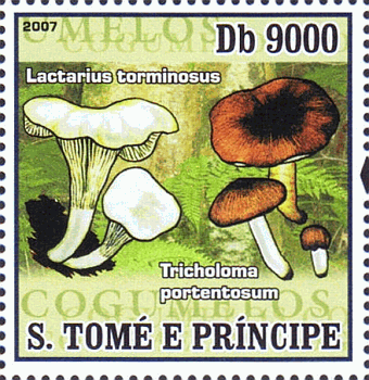 Briefmarke