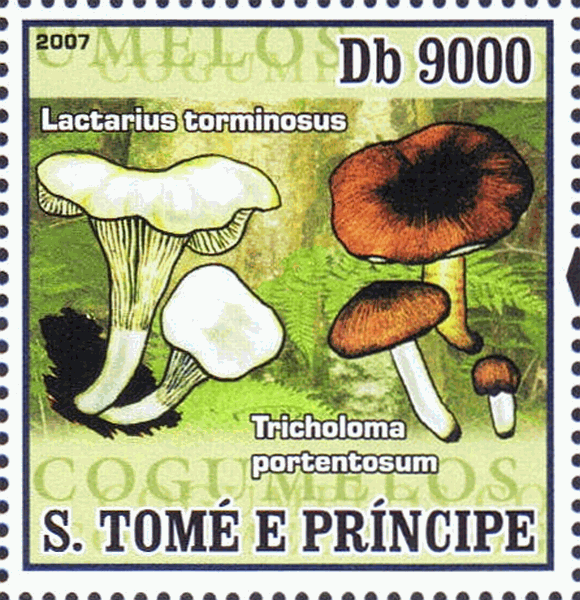 Briefmarke