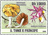 Briefmarke