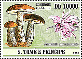 Briefmarke