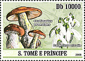 Briefmarke