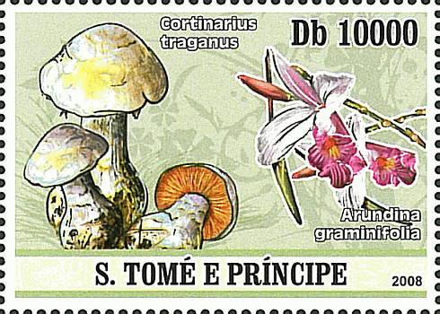 Briefmarke