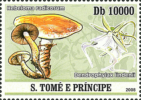 Briefmarke