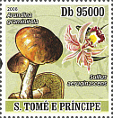 Briefmarke
