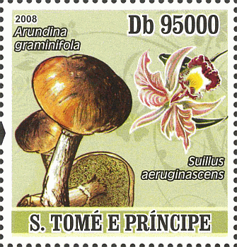 Briefmarke