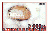 Briefmarke
