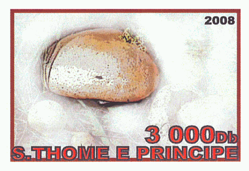 Briefmarke