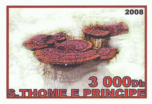 Briefmarke