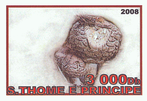Briefmarke