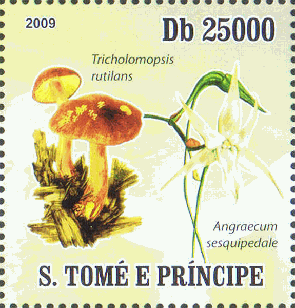 Briefmarke