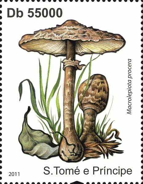 Briefmarke