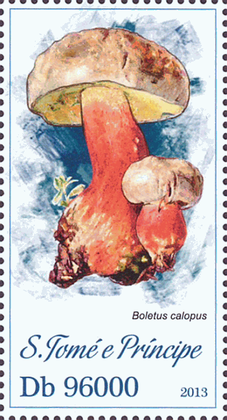 Briefmarke