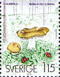 Briefmarke