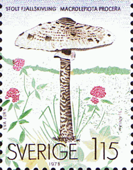 Briefmarke