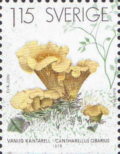 Briefmarke