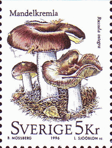 Briefmarke