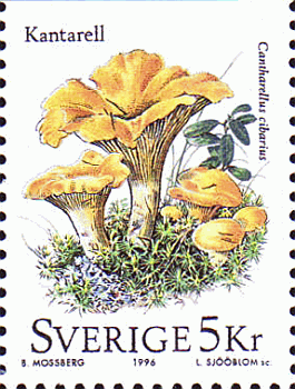 Briefmarke