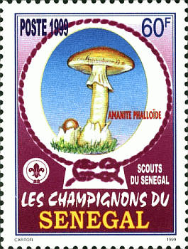 Briefmarke