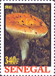 Briefmarke
