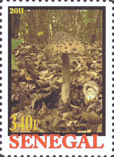 Briefmarke