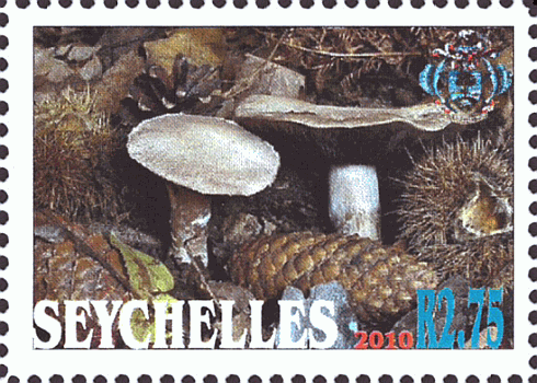 Briefmarke