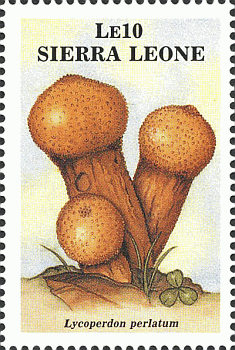 Briefmarke