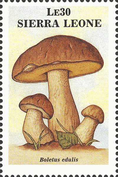Briefmarke