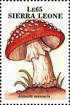 Briefmarke
