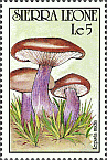 Briefmarke