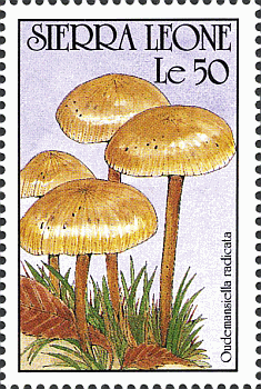 Briefmarke