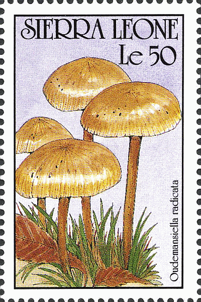Briefmarke