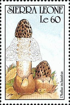 Briefmarke