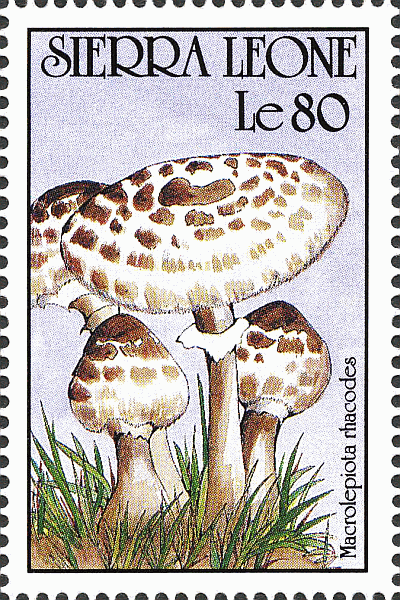 Briefmarke