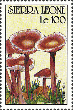 Briefmarke