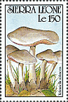 Briefmarke