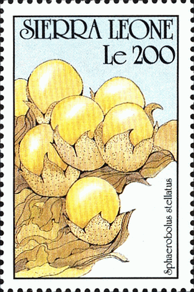 Briefmarke
